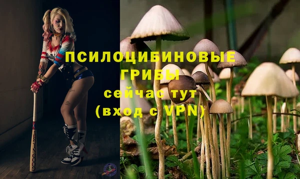 MESCALINE Арсеньев
