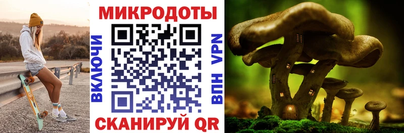 Псилоцибиновые грибы Psilocybe  Судак 